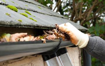 gutter cleaning Edge Hill